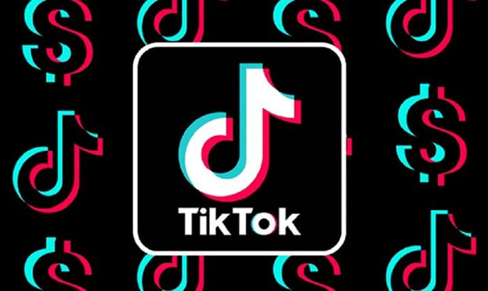 Hướng dẫn cài video làm hình nền trên điện thoại Android sử dụng Tik Tok Wall Picture.
