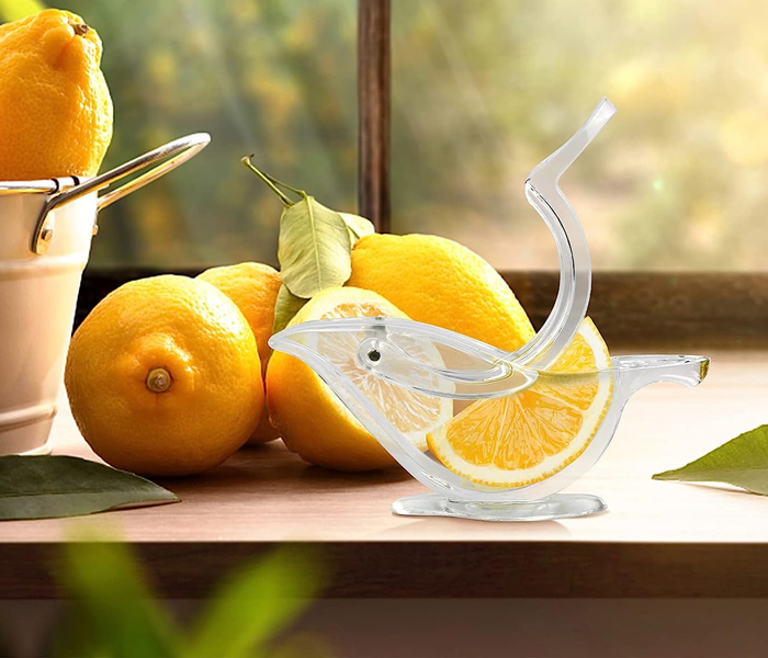 A clear acrylic bird-shaped juicer with an orange slice inside.