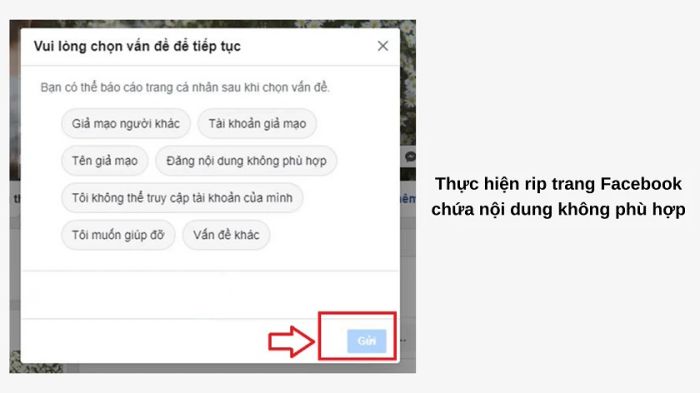 Chọn lý do và nhấn tiếp tục