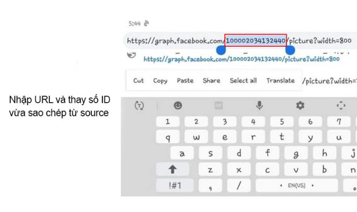 Dán đường link này vào trình duyệt