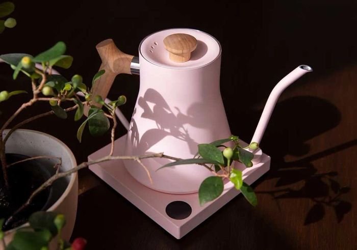 the pink electric kettle