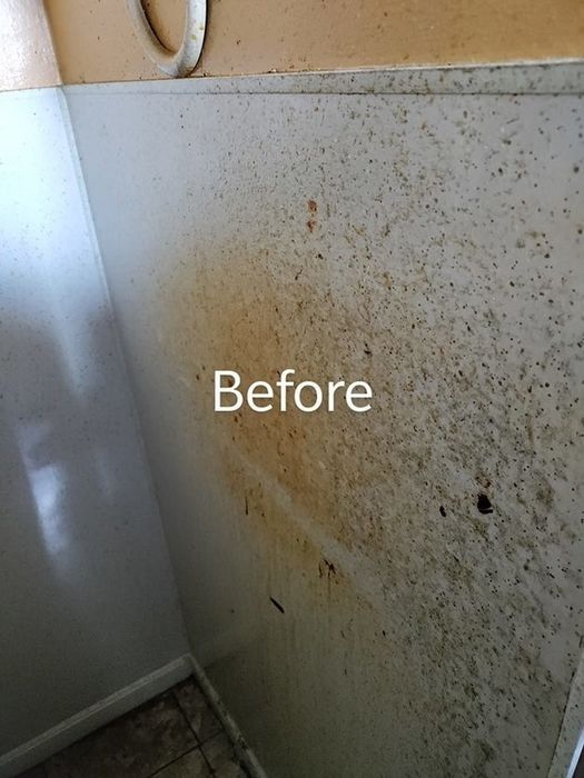 A before photo showing the stains on a bathroom wall taken by a reviewer