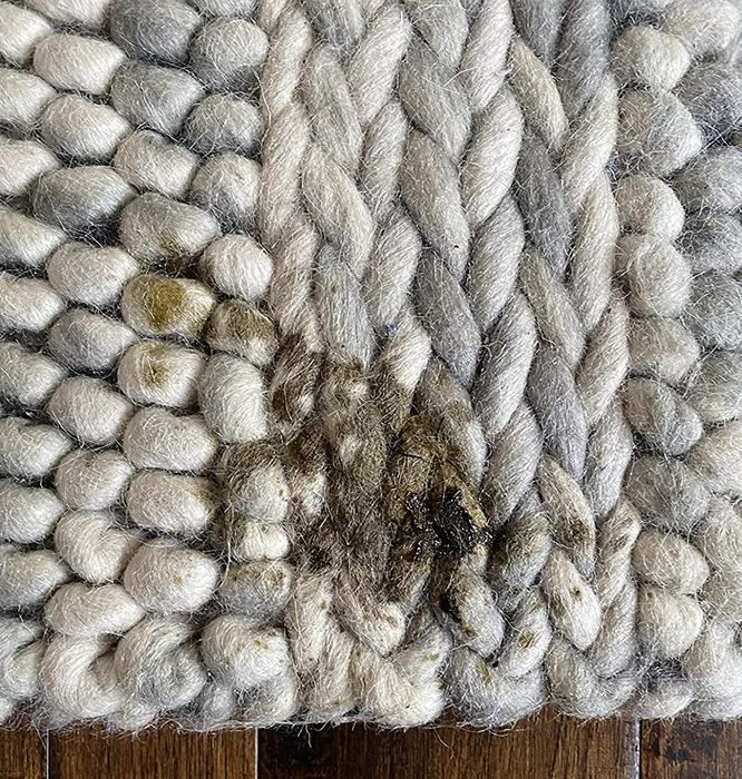 A reviewer's wool rug soiled with puppy diarrhea.