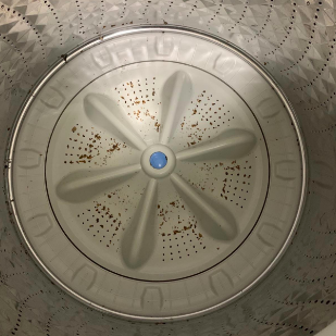 The reviewer's appliance