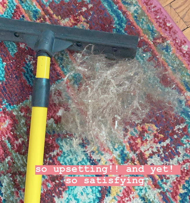 A reviewer's photo showing the broom on a rug next to a pile of pet hair, accompanied by text reading