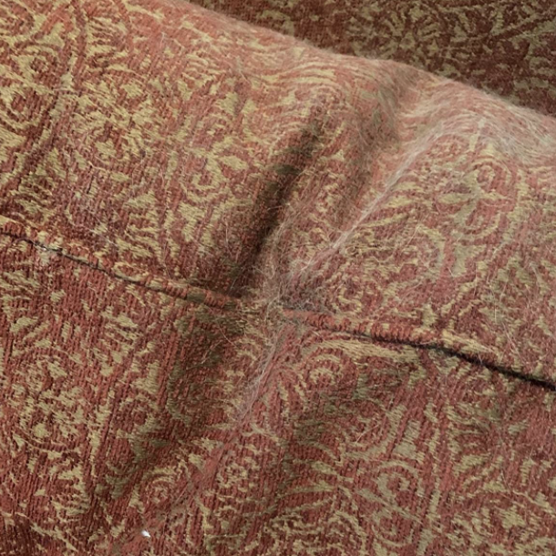 The sofa cushion belonging to the reviewer is covered with dust.