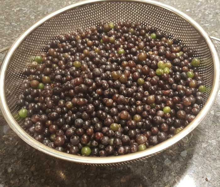 A reviewer using the strainer to drain freshly washed fruit.