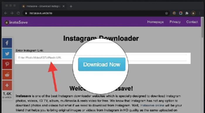 Cách tải ảnh Instagram về máy tính