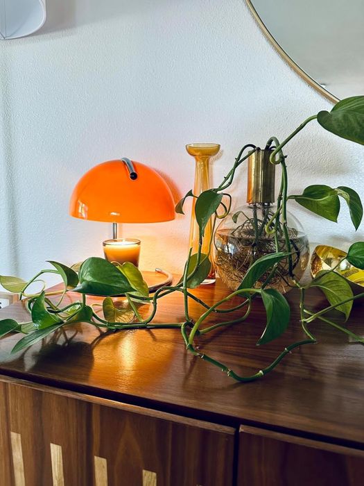 A chic home arrangement featuring a modern orange lamp, a candle, a glass vase, and a leafy plant on a wooden cabinet.