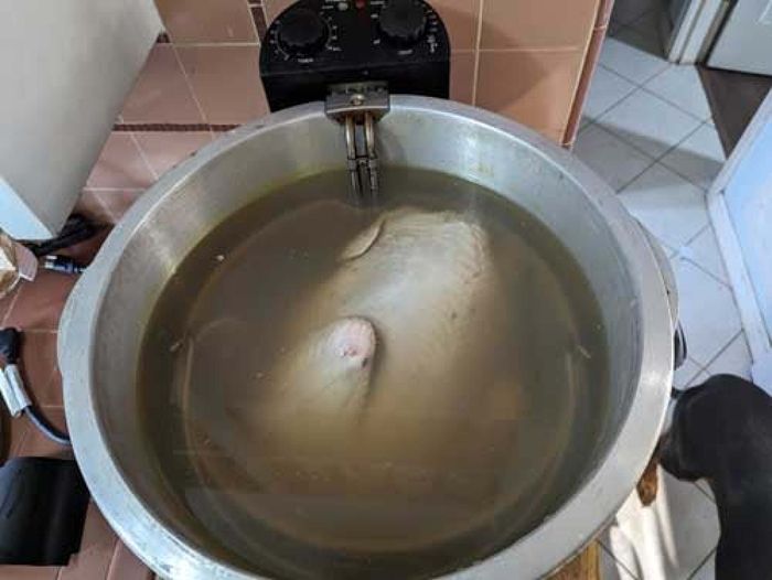image of a turkey brining in the deep fryer