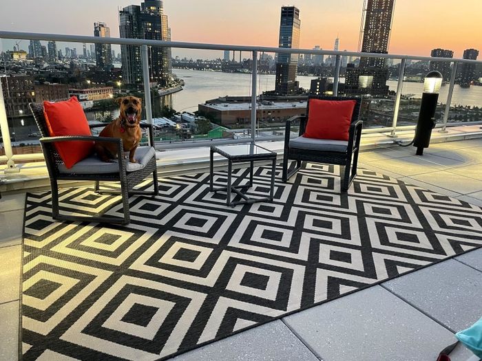 A dog relaxing on a chair on a balcony with a geometric-patterned rug, gazing at the sunset over the city skyline.