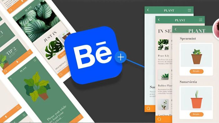 Giới thiệu về Behance và nguyên nhân gây lỗi khi truy cập nền tảng này