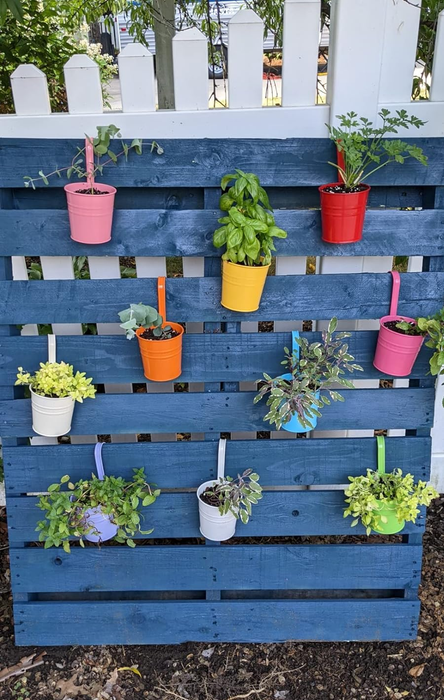 A vertical garden made from a blue pallet, adorned with a variety of colorful hanging pots and plants