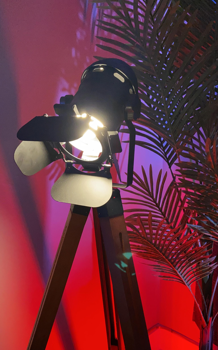 A floor lamp designed to mimic the look of a classic studio light, placed beside a plant, adding an industrial vibe to your home décor.
