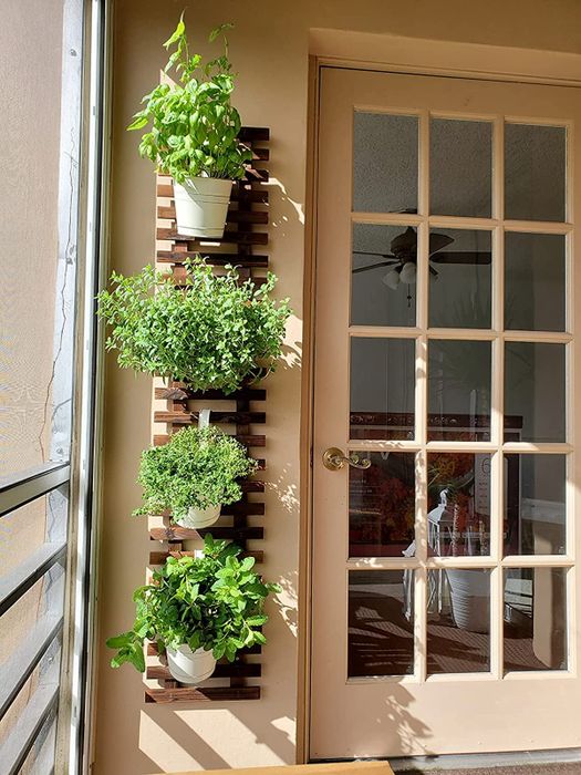 A vertical planter filled with various herbs, positioned next to a glass-paned door, perfect for space-efficient indoor gardening.