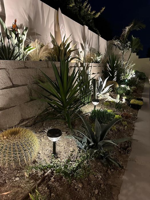 A garden illuminated at night with ground lights highlighting various succulents and desert plants along a scenic pathway.