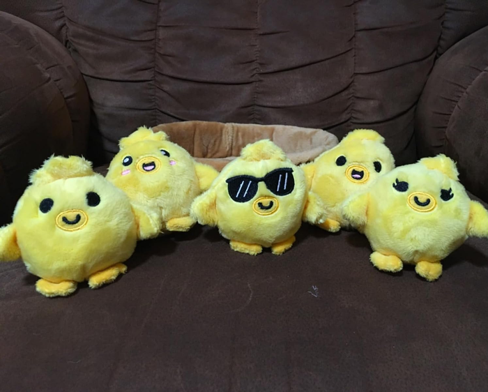 Five plush chick toys arranged in a neat line