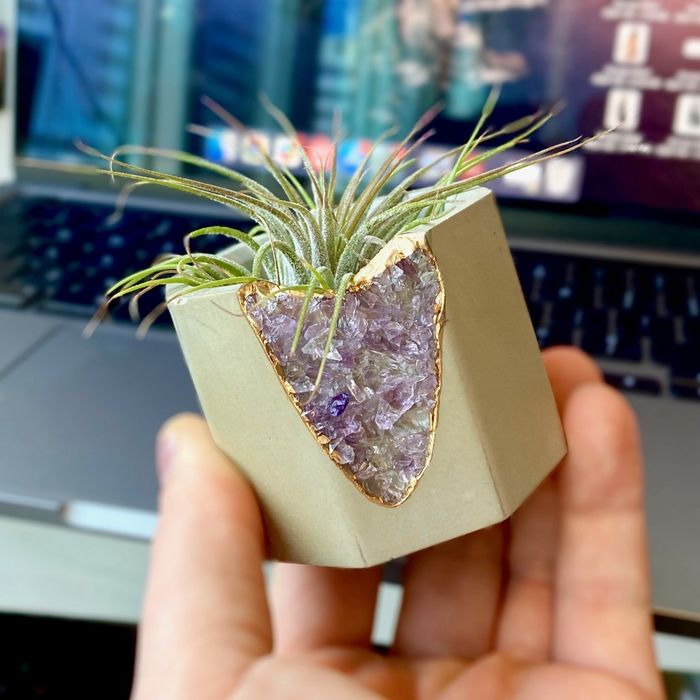 Mytour writer's image of an amethyst geode vessel paired with an air plant