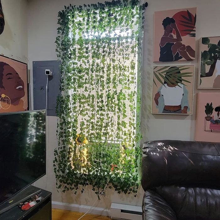A cozy living room featuring a wall covered in artificial greenery, complemented by adjacent artwork, a television, and a black sofa adorned with small decorative items