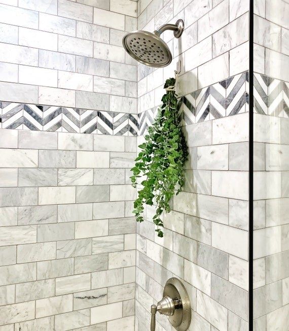A showerhead mounted on a tiled wall with a lush green plant hanging below it.