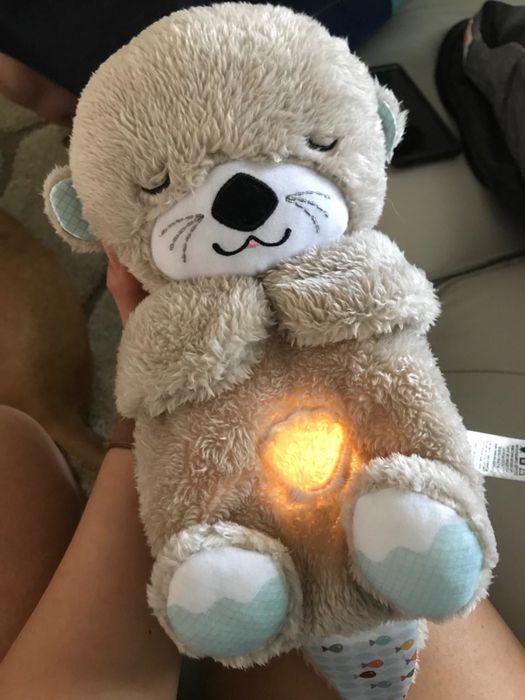 A photo from the reviewer holding the otter