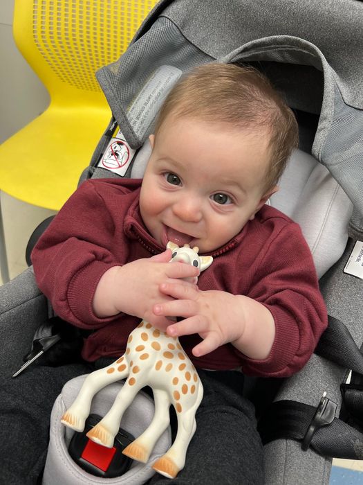 The editor's child gnawing on Sophie the Giraffe.