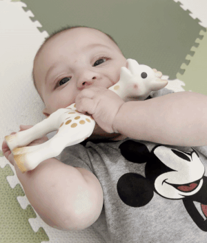 The editor's child munching on Sophie the Giraffe.