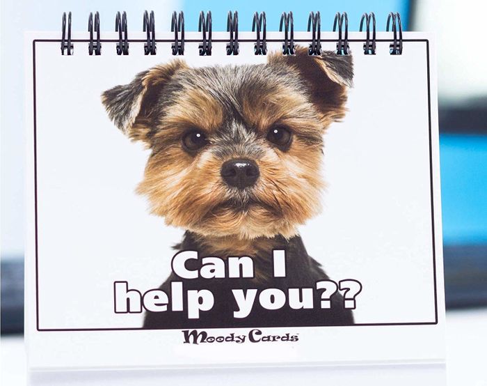 A daily mood desk flip chart placed on a table
