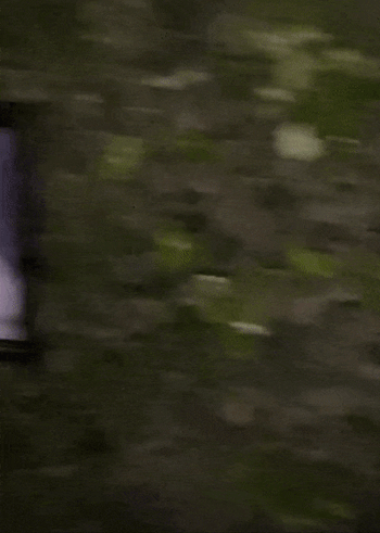 reviewer GIF showing a picture transitioning from ordinary to zombie as someone walks past
