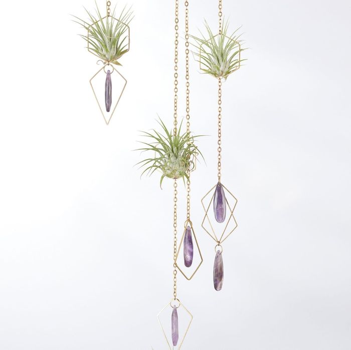 Air plants displayed in chic geometric metal holders with dangling purple gems