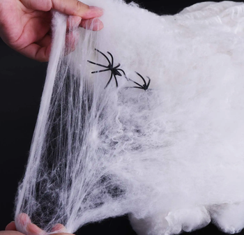 close-up of the spider web decoration