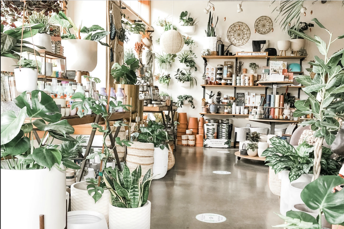 The store is filled with an abundance of plants and gardening essentials
