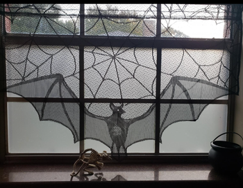 sheer bat lace curtain draped over a reviewer's window