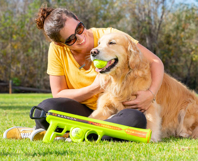 An owner gently petting their dog, which is holding a ball in its mouth, with the ball launcher lying on the ground nearby.
