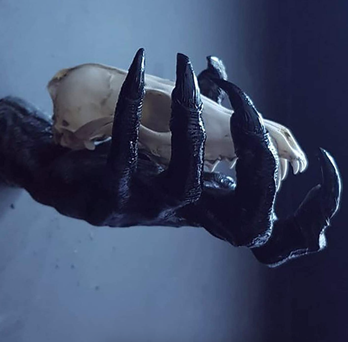 the same hand viewed from the side, now clutching a skull