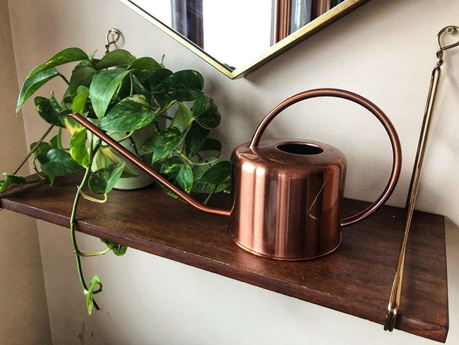 The copper watering can is displayed on the reviewer's shelf, adding a touch of elegance to the space.