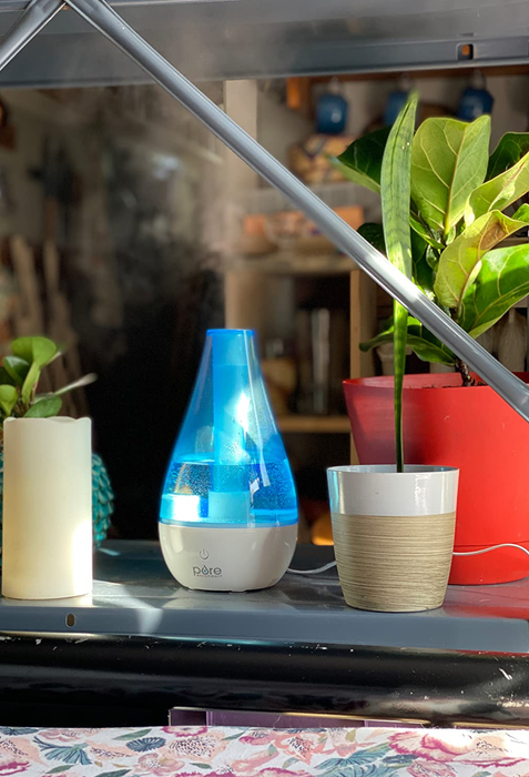 A small humidifier in action, gently misting a shelf adorned with plants.