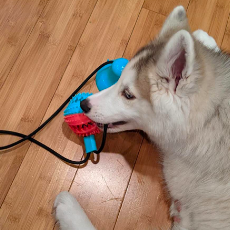 A reviewer’s dog lying next to the toy, chewing on the ball.