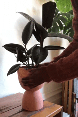 A gif showing Amazon lifting the planter to reveal the basin underneath.