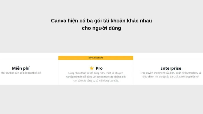 Canva cung cấp những loại tài khoản nào và phù hợp với đối tượng nào?