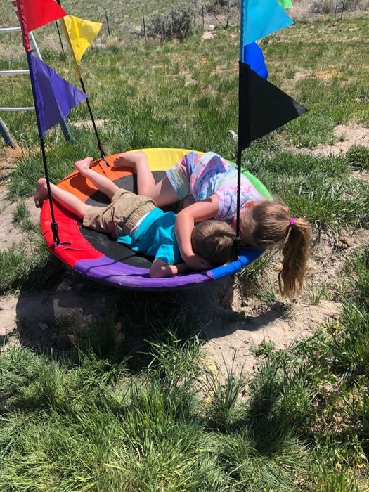A picture showing the reviewer's two children enjoying the swing.