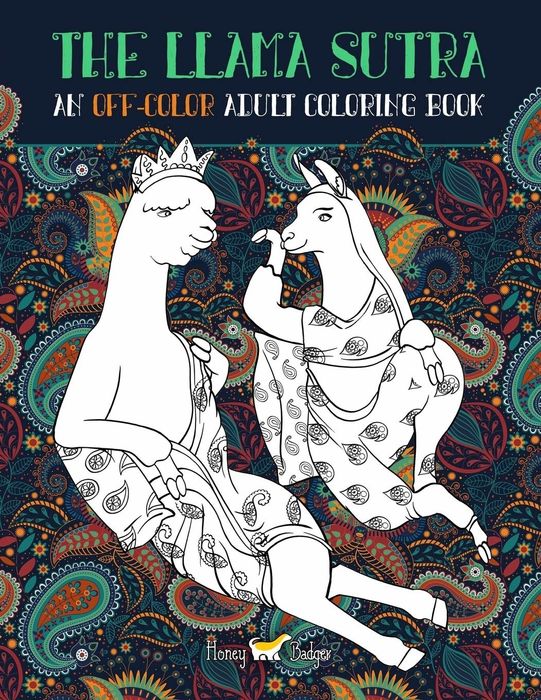 The front cover of the book