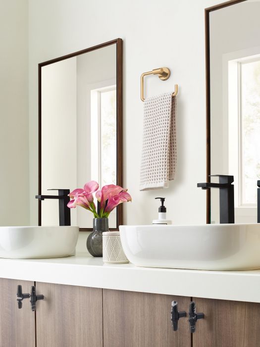 the gold hand towel holder mounted between double sinks