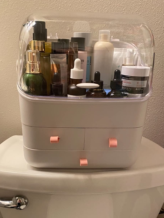 A photo from a reviewer showcasing the organizer.