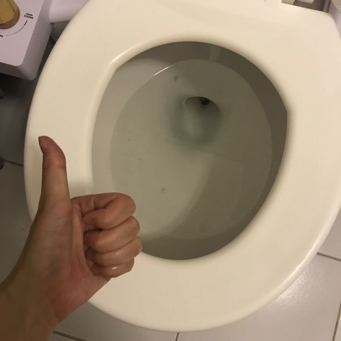 A photo of the same toilet after it has been thoroughly cleaned and is sparkling.