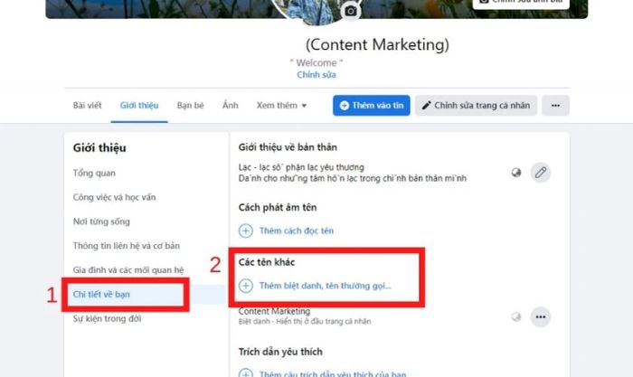 Truy cập mục giới thiệu, chọn Chi tiết về bạn và sau đó chọn Các tên khác.