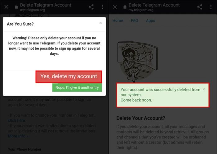 Hệ thống yêu cầu bạn xác nhận lại thao tác, nếu bạn chắc chắn, nhấn Yes, delete my account.