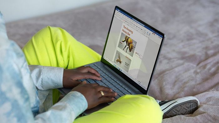 Reviewer using the laptop
