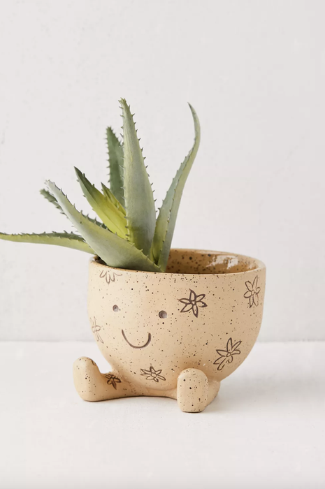 The planter holding a small succulent