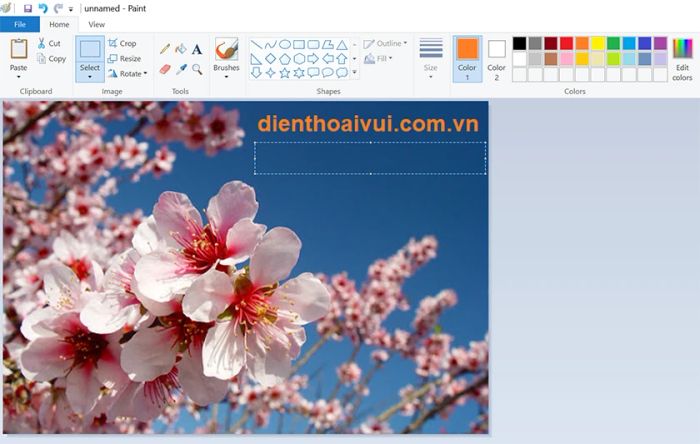 Loại bỏ chữ trên ảnh bằng Paint